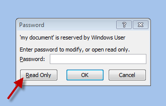 read only the locked word document