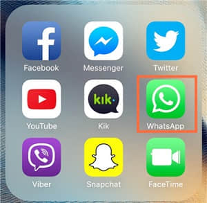 whatsapp icon ios device