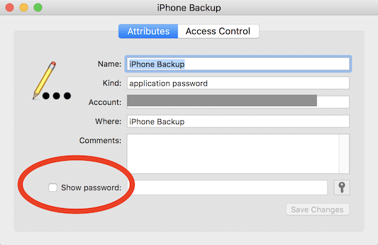 password to unlock iphone backup file