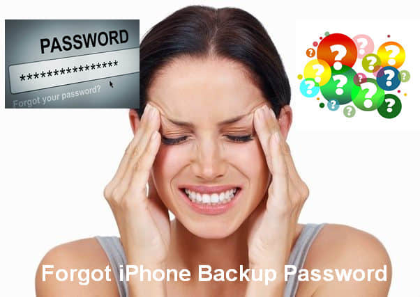 forgot iphone backup password