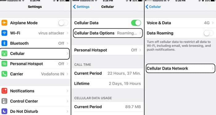 check if iphone has cellular data
