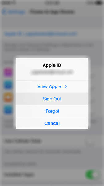 Sign Out and In Apple ID