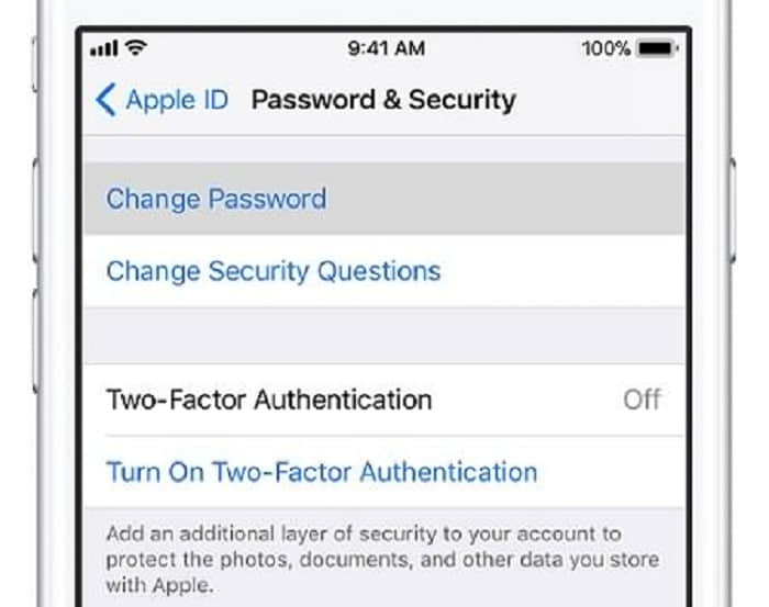 Reset Apple ID Password on iPhone/iPad