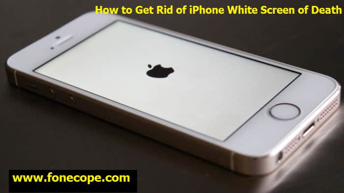 fix iphone white screen of death