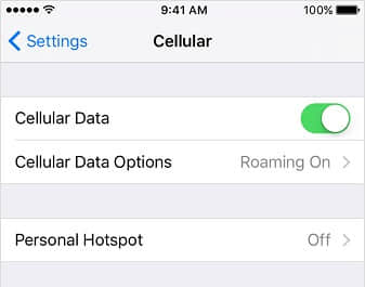check iphone cellular data connection