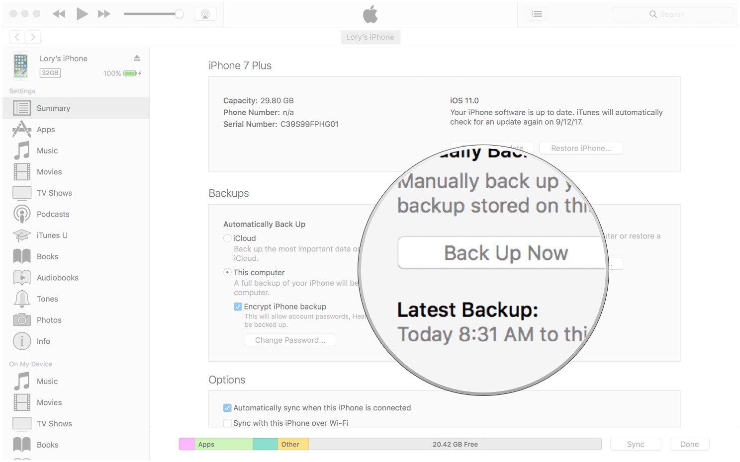 backup data on itunes when icloud is not working