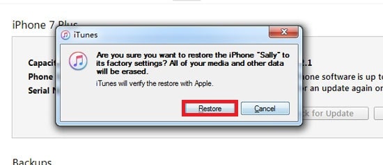 confirm your action to reset iphone