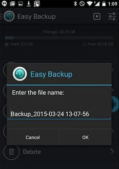 name your backup file
