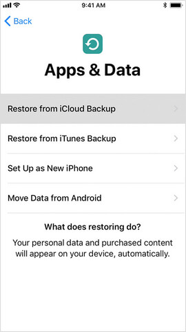 app and data restore from icloud backup