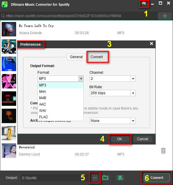 set up converting output format, bit rate and folder