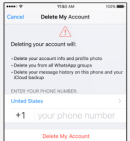 delete whatsapp account from iphone