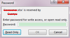 enter excel password for write access