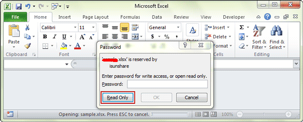 open excel in read only