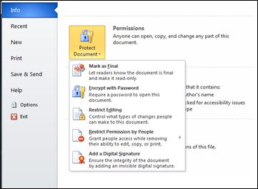 remove editing password from word when remember