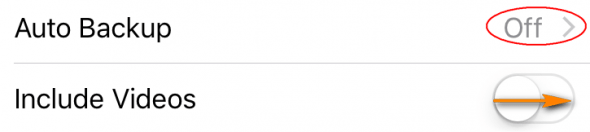 turn off video backup included