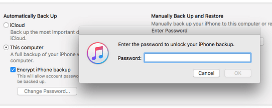 enter the password to unlock your iphone backup
