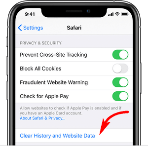 delete safari history and web data iphone