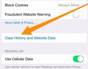 delete cookies and safari history iphone